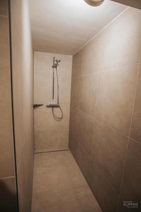 Villa Le vieux Sanglier - 41 pers - Malmedy Extérieur photo